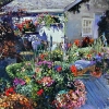 summerpallette30x40