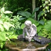 Front-Pond-1