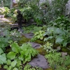North-Pond-1