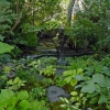 North-Pond-3