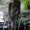 North-Pond