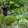 Rear-Pond-2