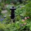 Rear-Pond-3