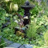 Rear-Pond-4