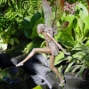 Rear-Pond