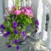 Deck-Stair-5