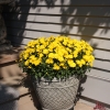 Front-Step-3