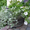 Front-Step-4