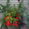 Front-Step-5
