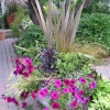 Front-Walk-2