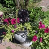 Front-Walk-5