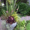 Front-Walk-6