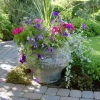 Front-Walk