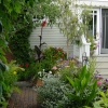 Rear-Walk-20