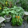 Slate-Deck-10