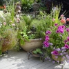Water-Garden
