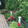 Front-Walk-7
