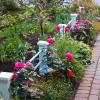 Front-Walk-S