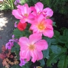 SW-Yard