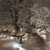 Rideau Gardens Calgary