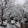Rideau Gardens Calgary
