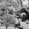 Rideau Gardens Calgary